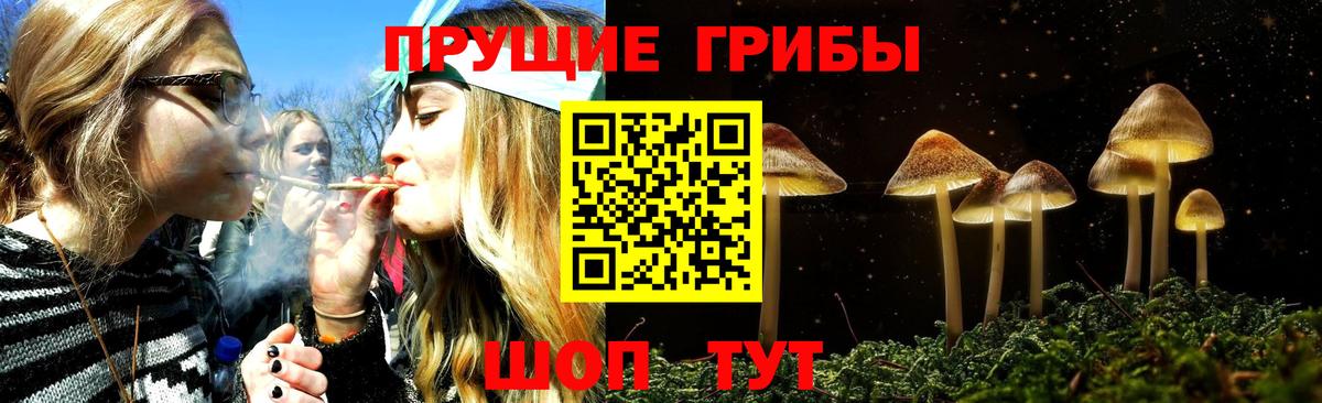 Псилоцибиновые грибы ЛСД  Вход с VPN  Мичуринск 
